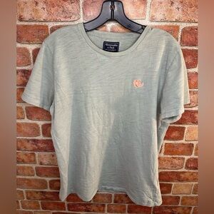 Mens Abercrombie & Fitch sage green 100% cotton Tshirt with embroidered orange